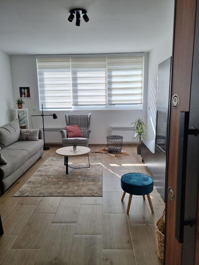 Apartman Nana Divčibare エクステリア 写真